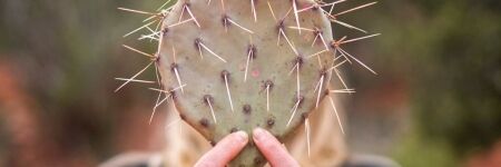 Qual signo astrológico tem o pior caráter do zodíaco?