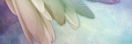Aniel, o anjo da guarda da <i>audácia</i> e da perseverança