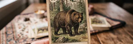 O Urso no Tarot Lenormand: significado