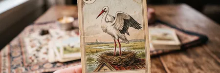 A Cegonha no Tarot Lenormand: significado