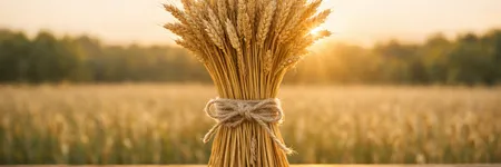 O que ninguém se atreve a dizer a uma Virgem ♍ (e todos pensam)