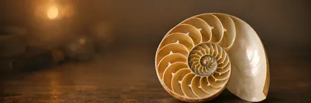 Número de ouro: o significado da divina proporção