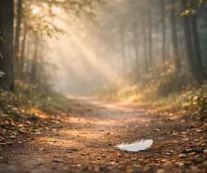 Sinais do destino: como os reconhecer e interpretar