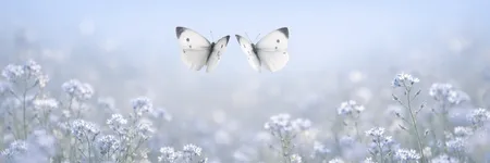 Como enlouquecer um Gémeos em 5 frases ♊🦋