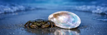 A verdade que o Caranguejo NÃO quer ouvir ♋🦀