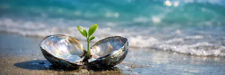 O que o Peixes tem de desaprender para evoluir ♓🌱